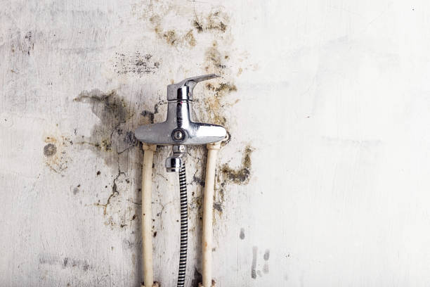 Mold Removal and Inspection in East Porterville, CA