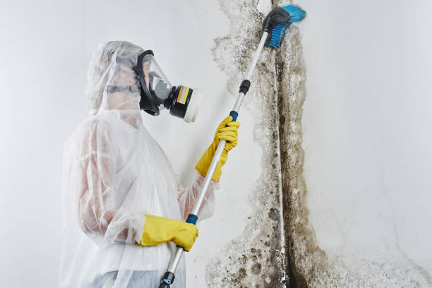 Best Water Damage Restoration  in East Porterville, CA