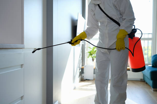 Best Emergency Mold Removal  in East Porterville, CA
