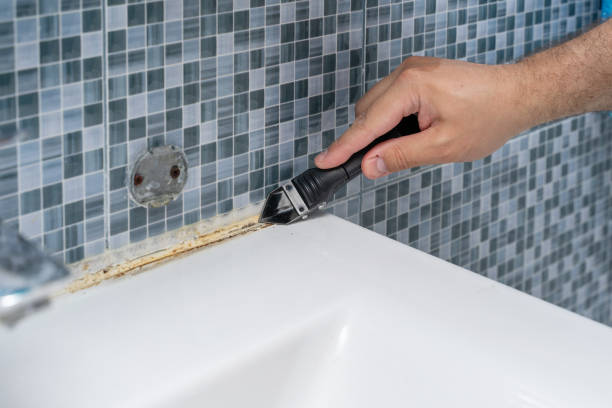 Best Mold Remediation Services  in East Porterville, CA