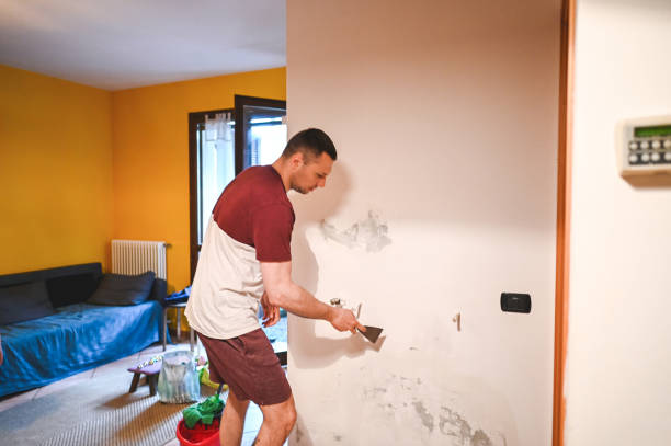Best Mold Removal Near Me  in East Porterville, CA